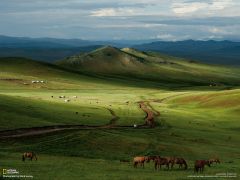 Tapeta National Geographic 208.jpg